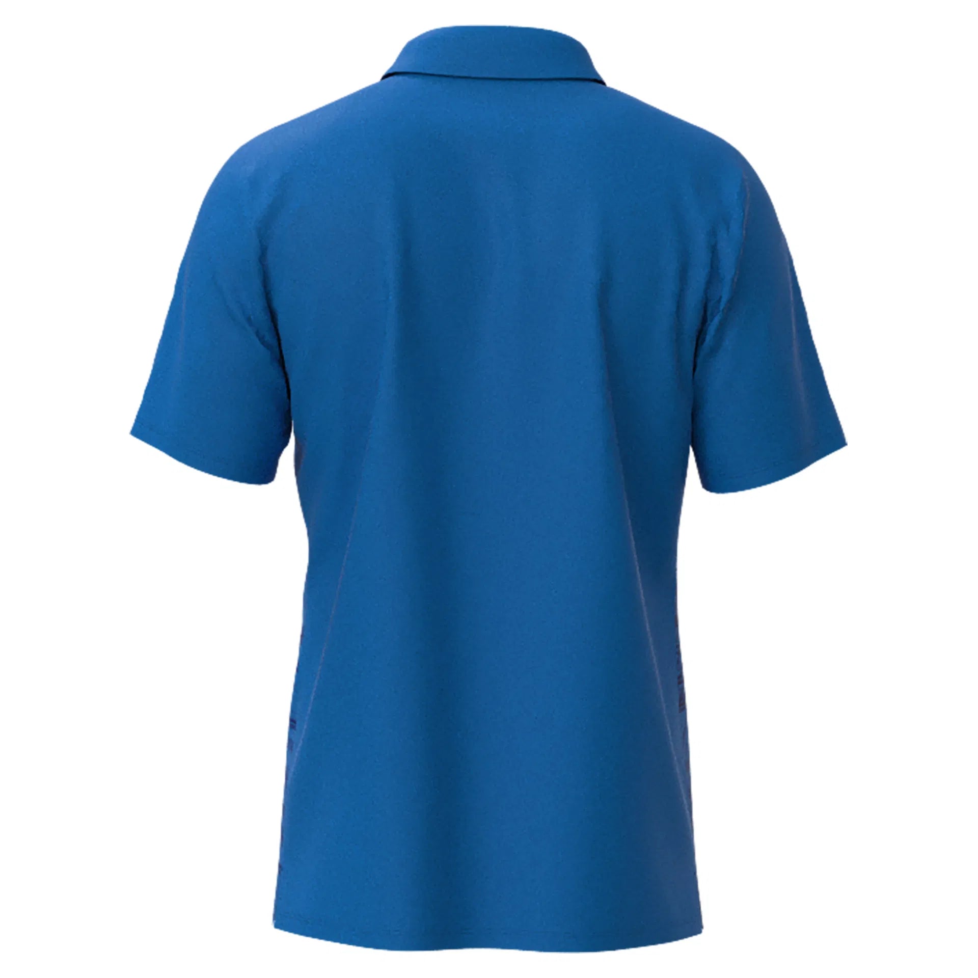 Mizuno Shirt Chiba blau