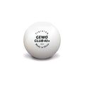 Gewo Ball Training Club 40+ ** 72er