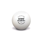 Gewo Ball Training Club 40+ ** 72er